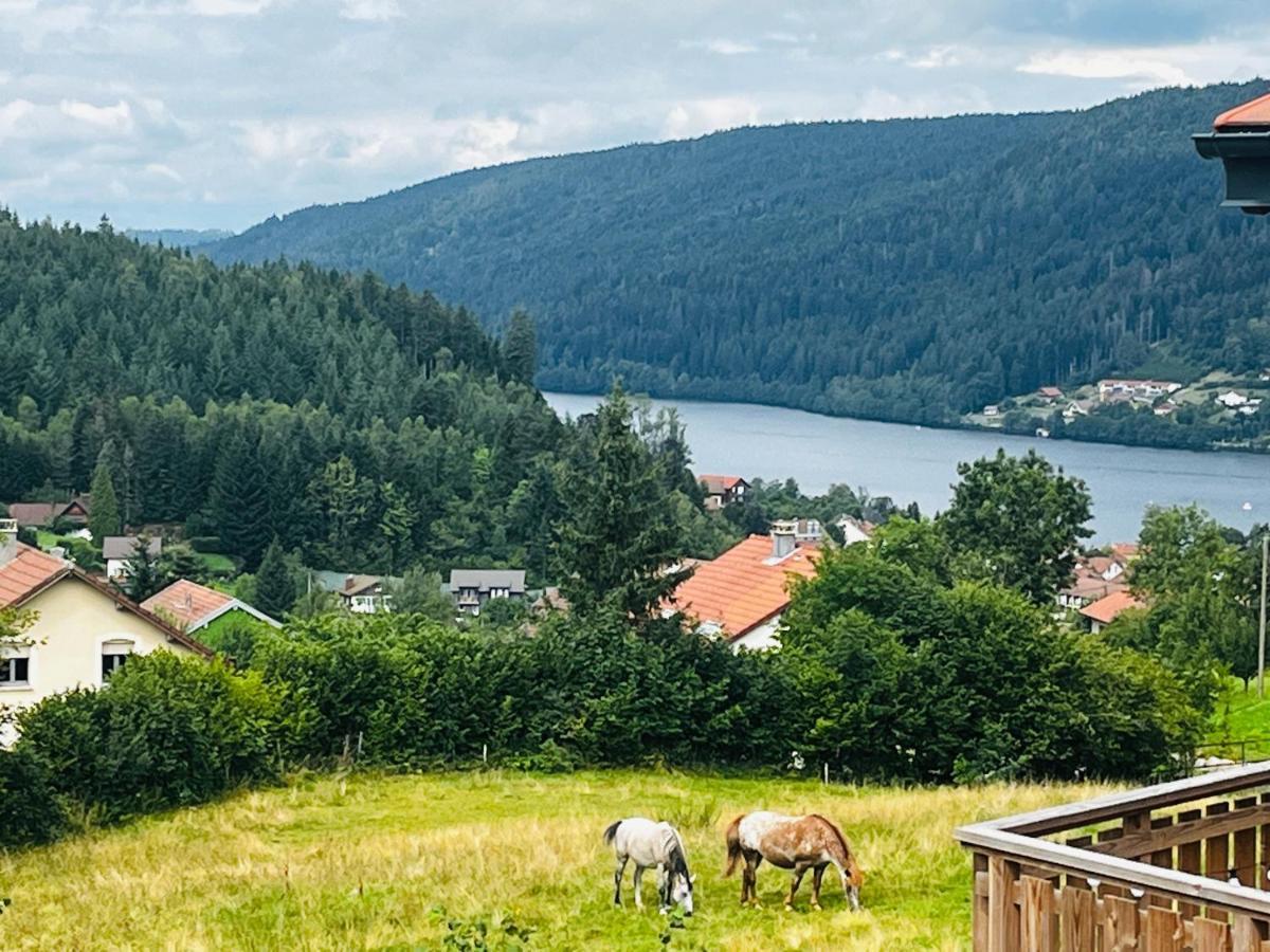 Stone Lake Luxury Lodge Gerardmer Exterior photo